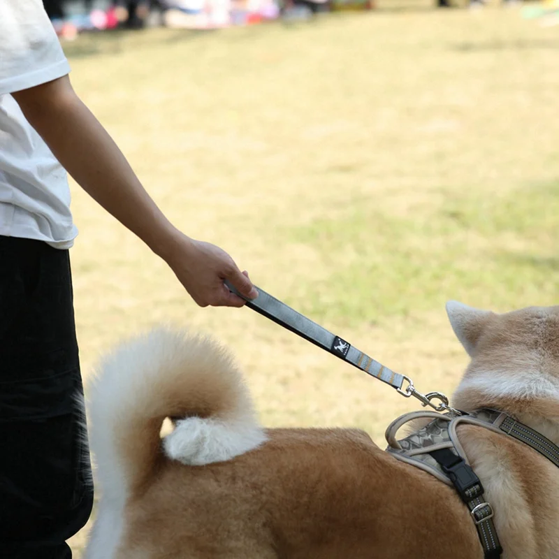 

New Pet Elastic Seat Belt Dog Nylon Car Seat Belt Adjustable Pet Solid Color Car Seat Belt Traction Rope Dual-use Soft Collar