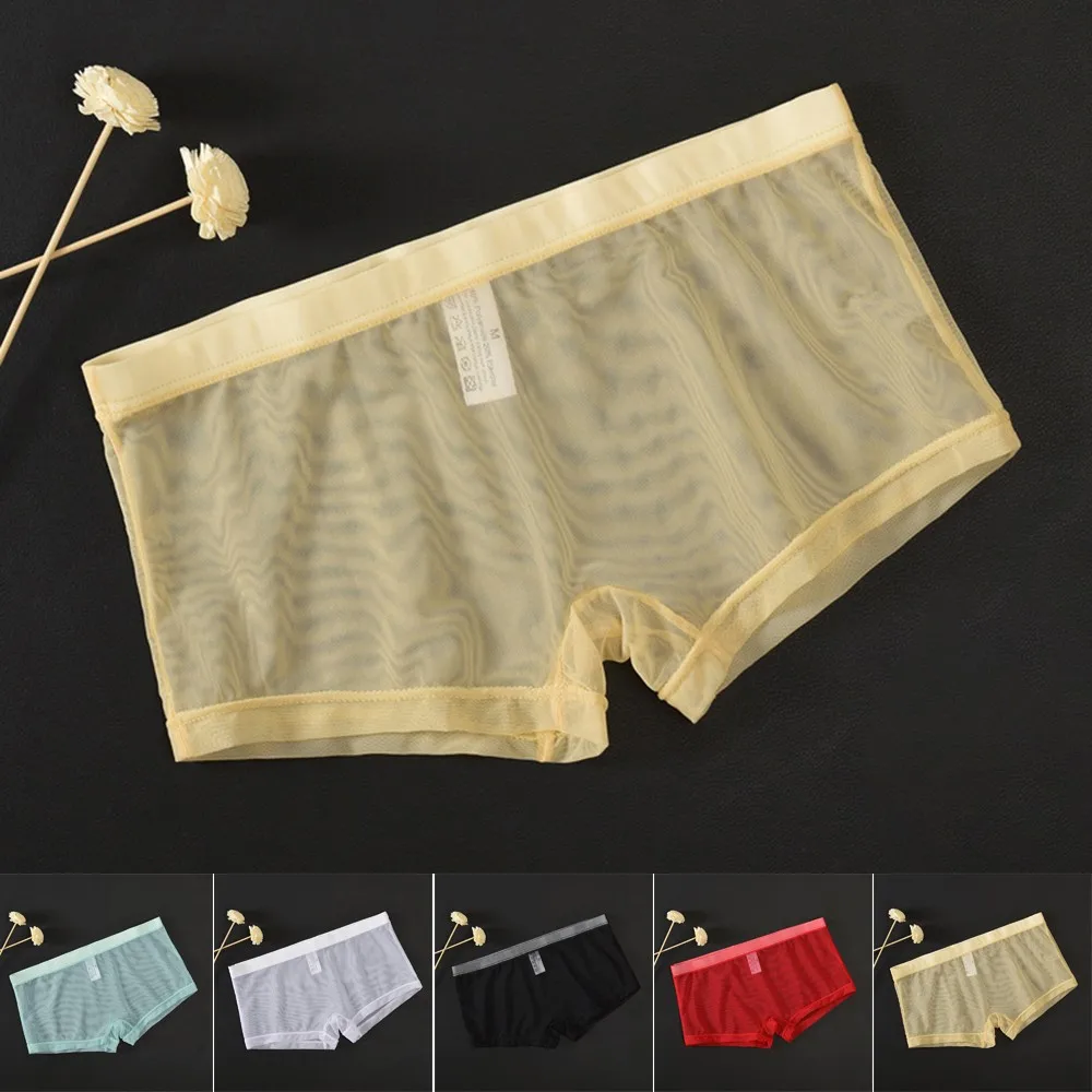 

Mens Sexy Underwear Mesh See Through Underpant Sexy Pants Transparent Boxer Brief Men Quick Dry Briefs Erotic Ultra-thin Panties
