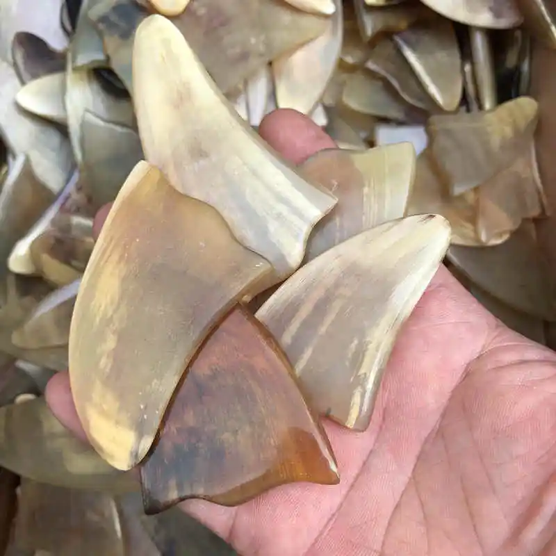 10 шт. натуральный овечий Рог гуаша пластины Красота массажный инструмент