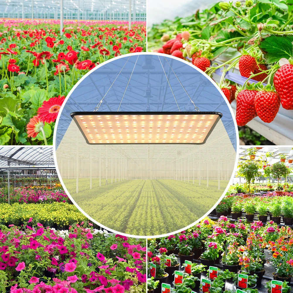 

Quantum Board LED Growth Bulb Full Spectrum Plant Lamp 2000W Greenhouse Light 220V Grow Tent Phytolamps For Seedlings Fito Lamps