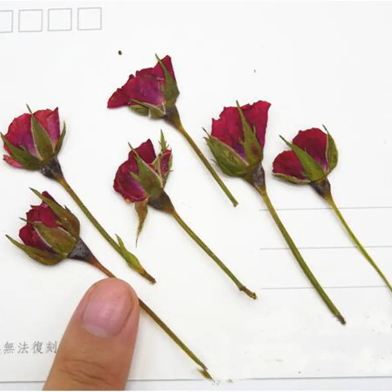 6 шт. искусственные сухие растения для ароматерапии свеча подвеска из эпоксидной