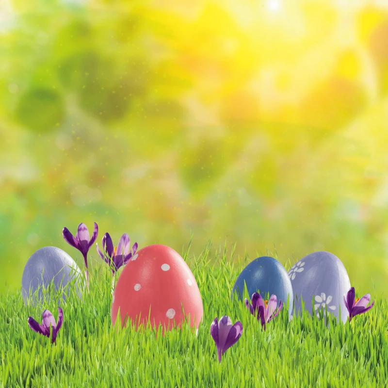 

Spring Easter Festivals Backdrop For Photography Wood Floor Basket Eggs Rabbit Vase Flowers Flag Party Interior Photo Background
