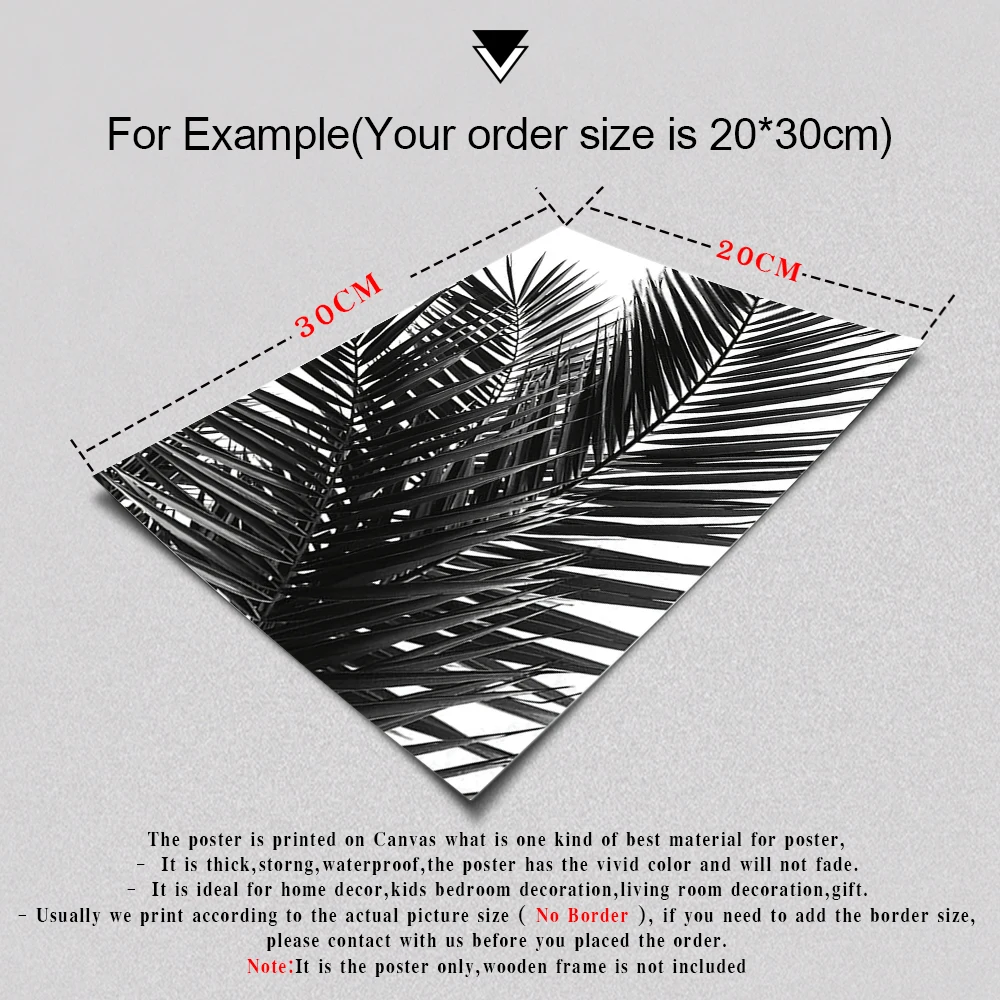 Черно-белые листья пальмы холст плакаты и принты Минималистичная живопись