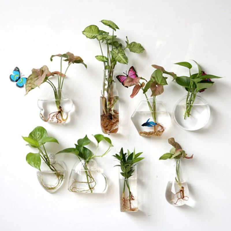 Creative Hanging Hydroponic Plant Glass Vase Wall Transparent Flower Pot Green Dill Small Fish Tank Modern | Дом и сад