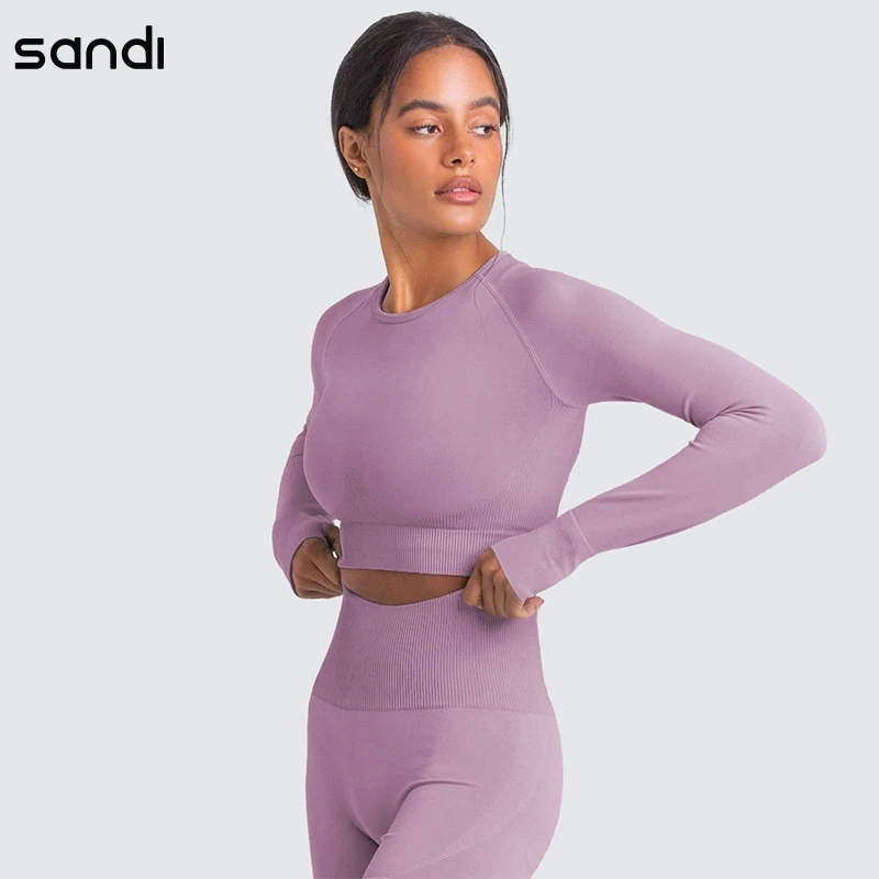 

12 Colors Women Seamless Yoga Set Short Sleeve Crop Top High Waist Sport Leggings Active Wear Gym Suit Workout Clothes For Women