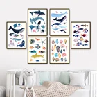 Картина на холсте с изображением морских обитателей, акулы, Кита, раковины, плакаты и принты в скандинавском стиле, настенные картины для декора детской комнаты