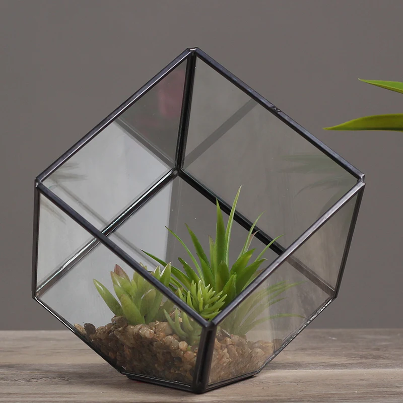 

Home glass cover flower house micro landscape decoration creative model room study wine cabinet decoration