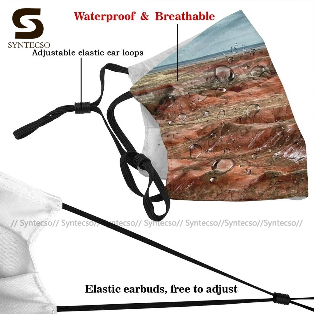 Уникальная Защитная окрашенная маска для лица Desert Аризона забавная взрослая