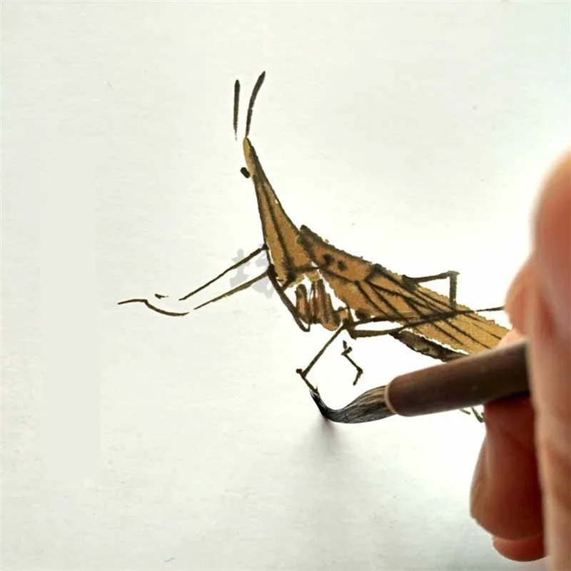 3 шт. (S M L) тонкая кисть с крючком для рисования | Канцтовары офиса и дома