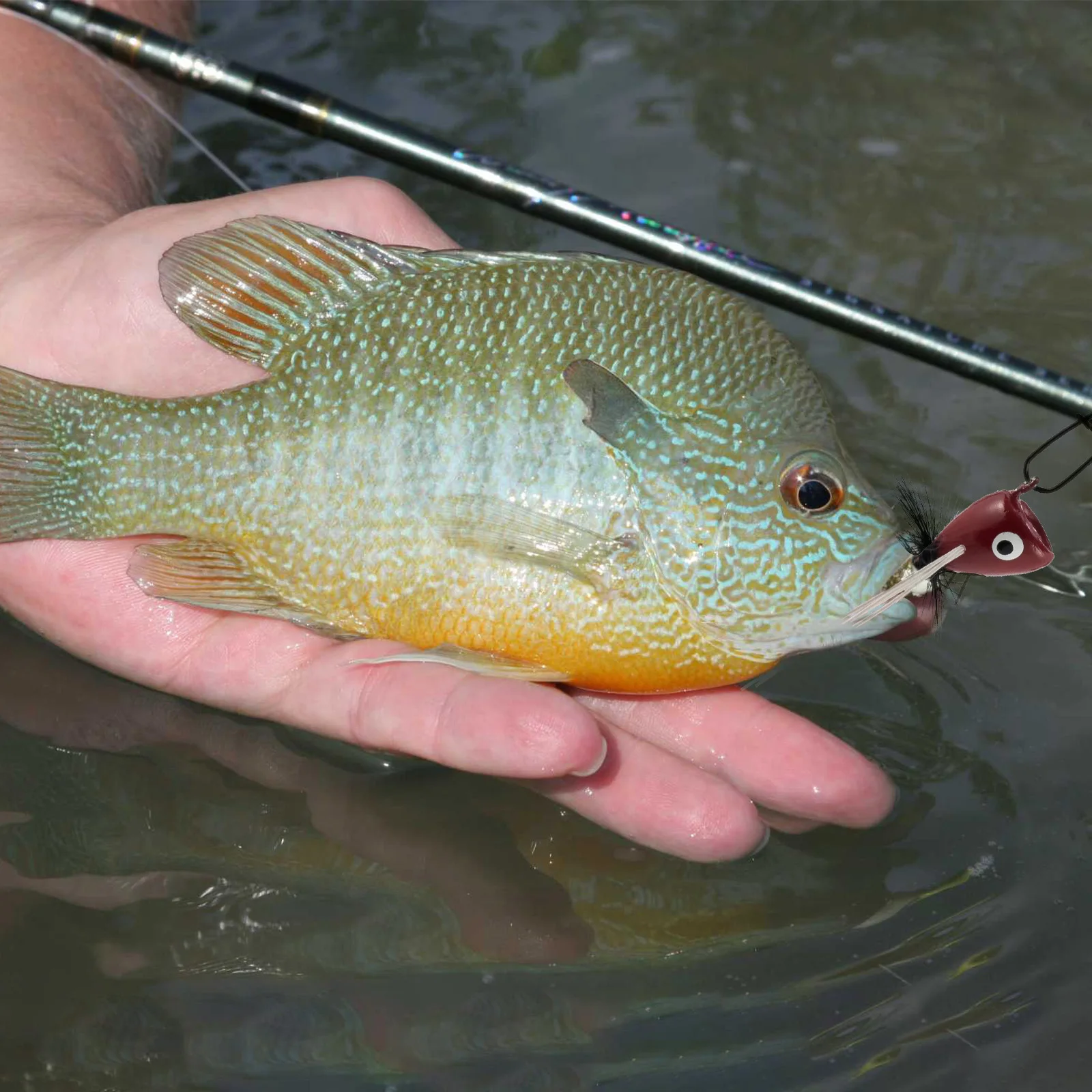 10 шт. рыболовные Мушки для ловли нахлыстом |