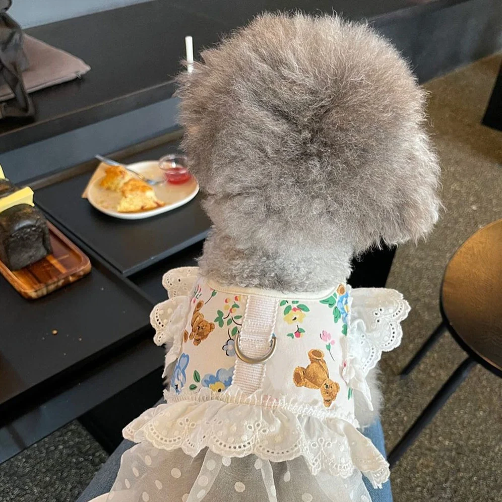 

Ins style Korean pet dog bixiong small dog breathable mesh chest strap Maltese out traction rope