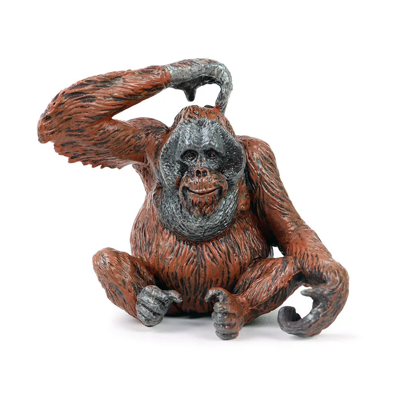 

Simulation solid static zoo model orangutan monkey orangutan ape children plastic doll decoration