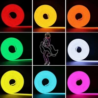 12v led neon strip light sign rope flexible tape soft bar silicon tube waterproof 2835 smd white yellow red green blue pink