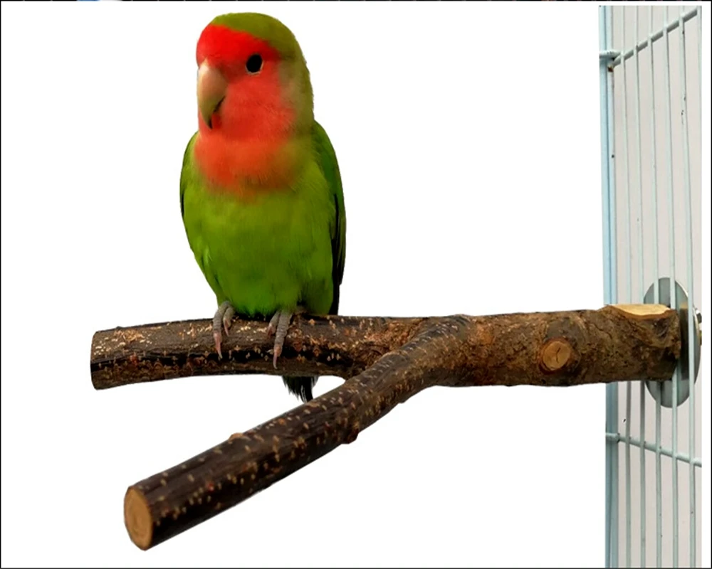 Клетка для птиц использование яблока деревянные стоячие ветки перчи попугай