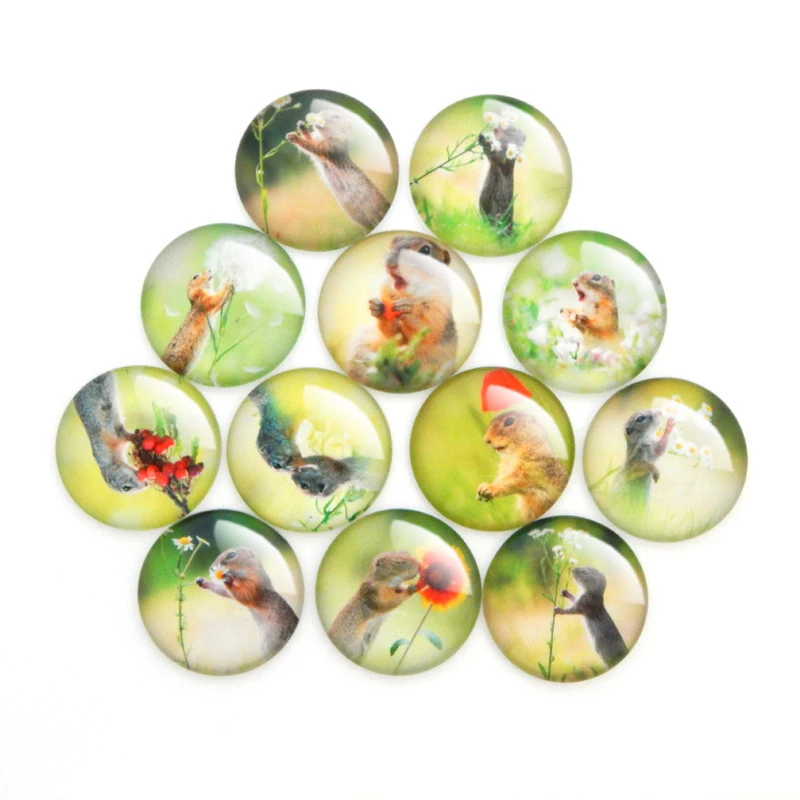 Qiyue Магнитный Хрустальный холодильник с изображением белки животных липкие