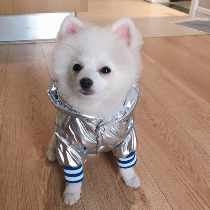 Пуховая куртка для собак серебристая хлопковая одежда взрослых французский