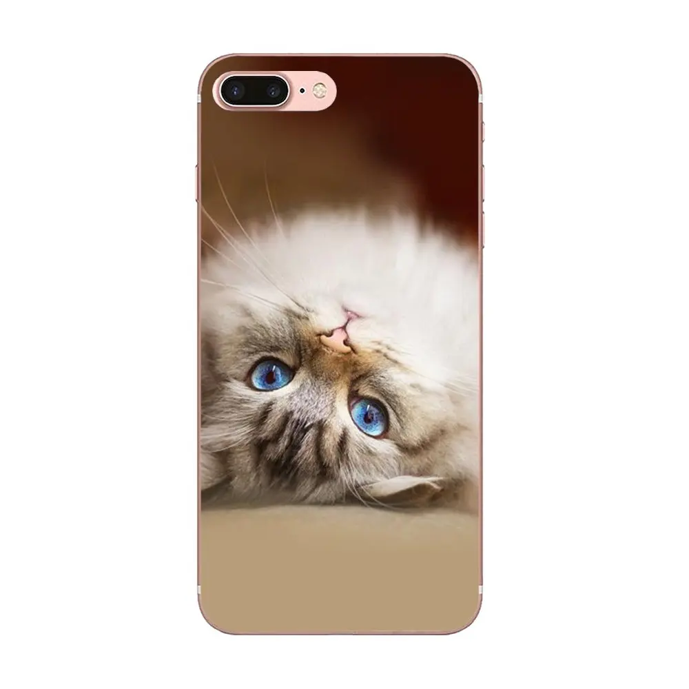 Мягкие чехлы с котенком черным котом животным для Xiaomi CC9 CC9E Mi 3 4 4i 5 детской 6 6X 8 9 SE
