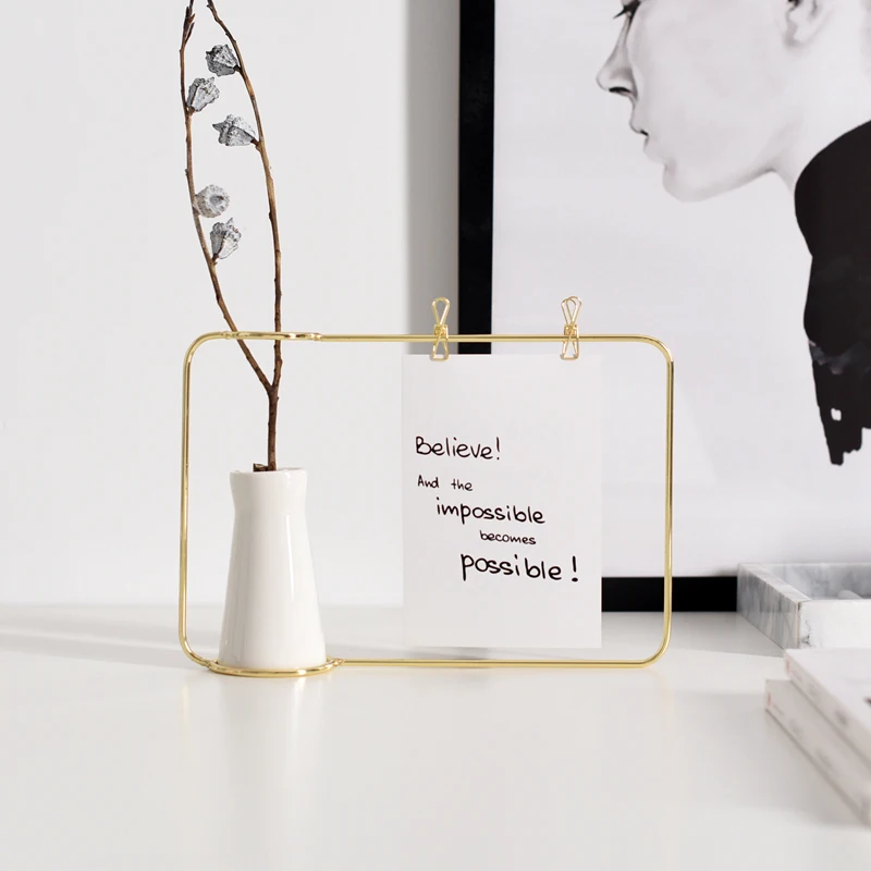 Креативная железная линия цветочный горшок растение керамическая фотография