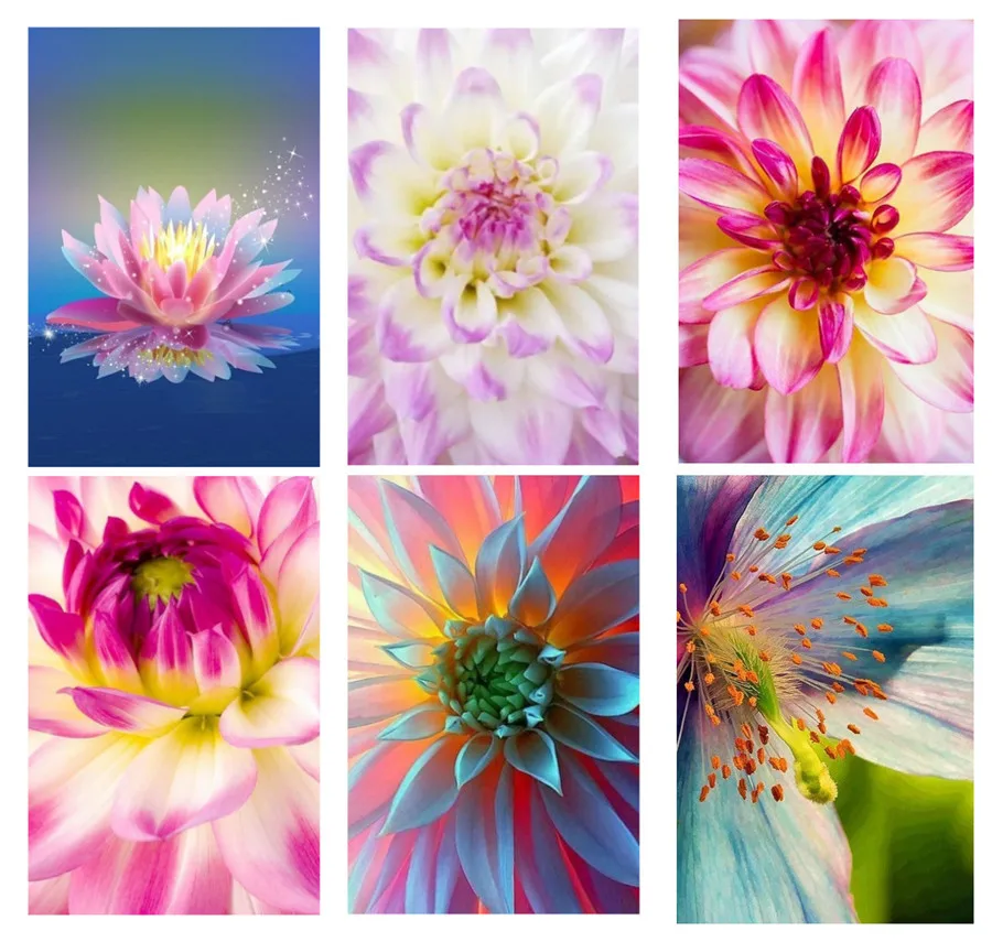 5D алмазная живопись сделай сам цветы лотоса вышивка крестиком украшение для дома