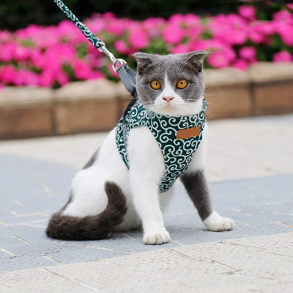 

Cat Vest Harness Leash Adjustable Dog Harness Collar Pull Cat Harness Lead Set Vest Puppy Chest Strap For Small Animals