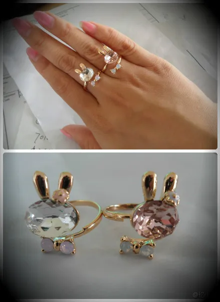 

Refinement of embryonic rabbit crystal bow mouth ring ring
