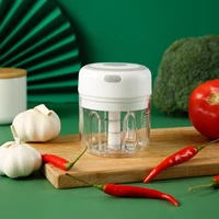 household electric garlic grinder kitchen small garlic chopper meat grinder
