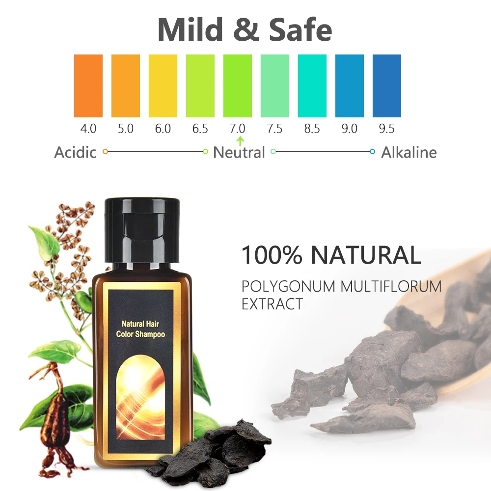

200ML Natural Polygonum Hair Shampoo Moisturizing Ginger Anti Hair Loss Shampoo Products Hair Color Shampoo Prevent Grey Hair