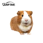 JumpTime 13x4,3 см для свинки с сердечком багажник автомобиля лобового стекла, персональная Автомобильная наклейки Водонепроницаемый животных мотоцикла RV наклейки с персонажами из мультфильмов