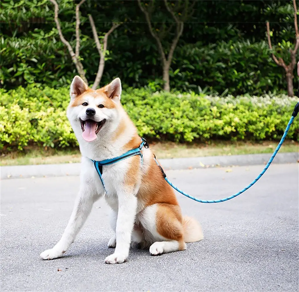 Длинная прочная Светоотражающая Удобная нейлоновая веревка для дрессировки 15 м |