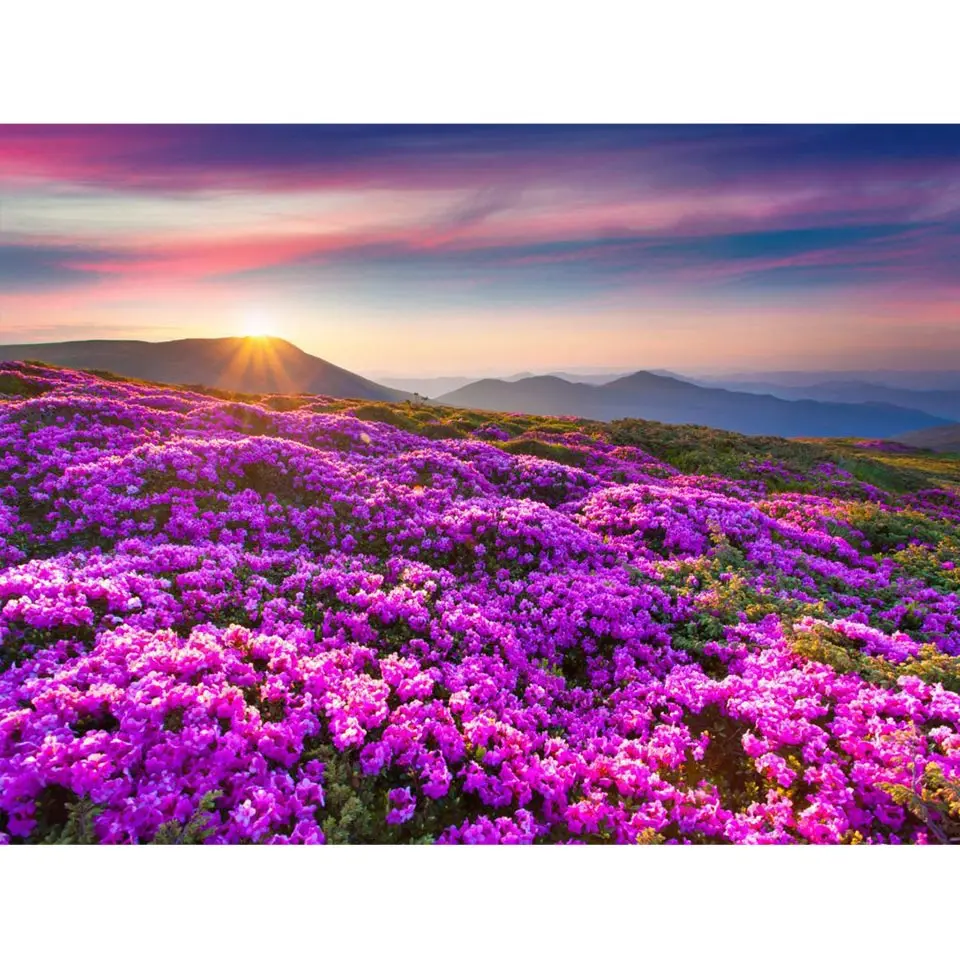 

5D DIY Алмазная вышивка закат горные цветы пейзаж алмазная живопись, пейзаж, крест стежка Декор ручной работы подарки