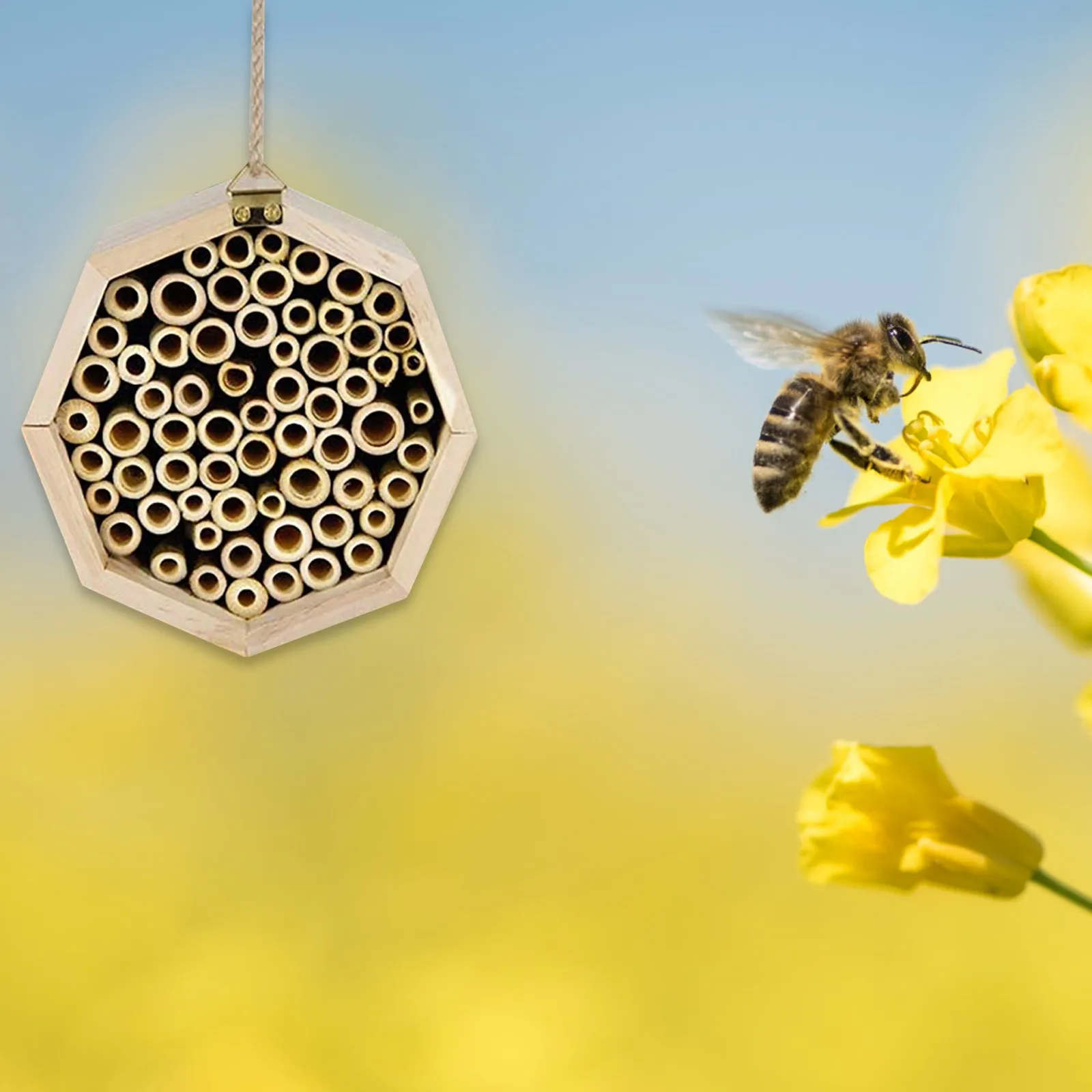 

Hand-Made Natural Bamboo Honeycomb, A House For Bees In Mason Apiary Attracts Peaceful Bee Pollinators Dropshipping NEW 2021