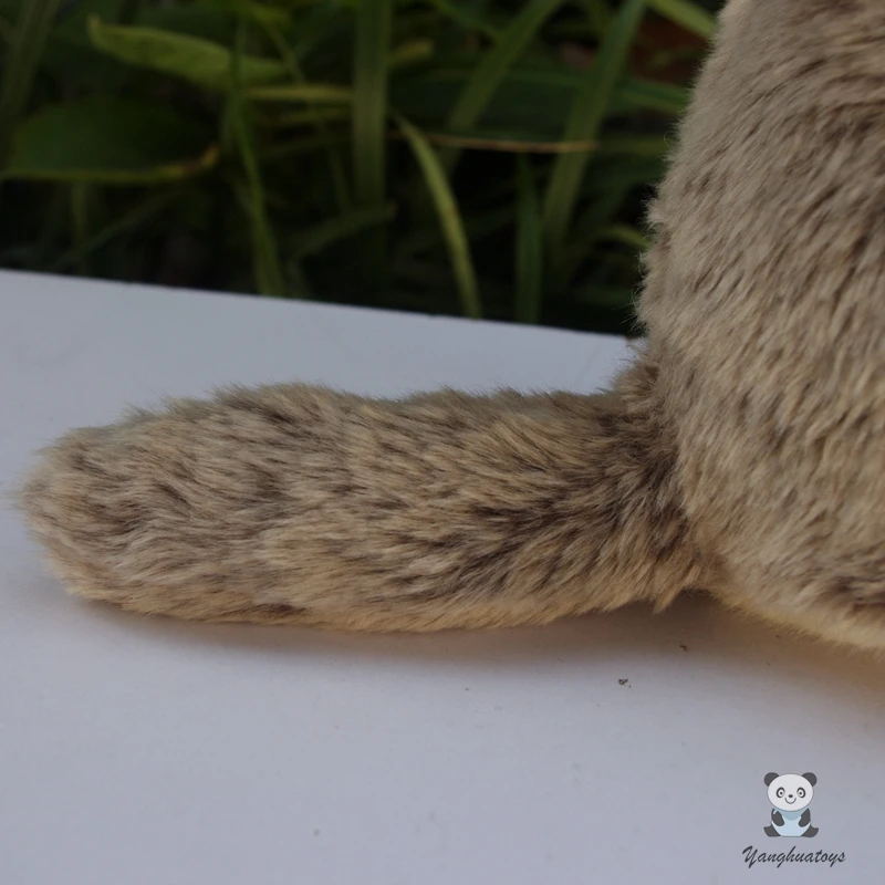 Реалистичная плюшевая игрушка-мрамор Kawayii игрушки мягкие игрушки-животные