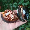 Изображение товара 1
