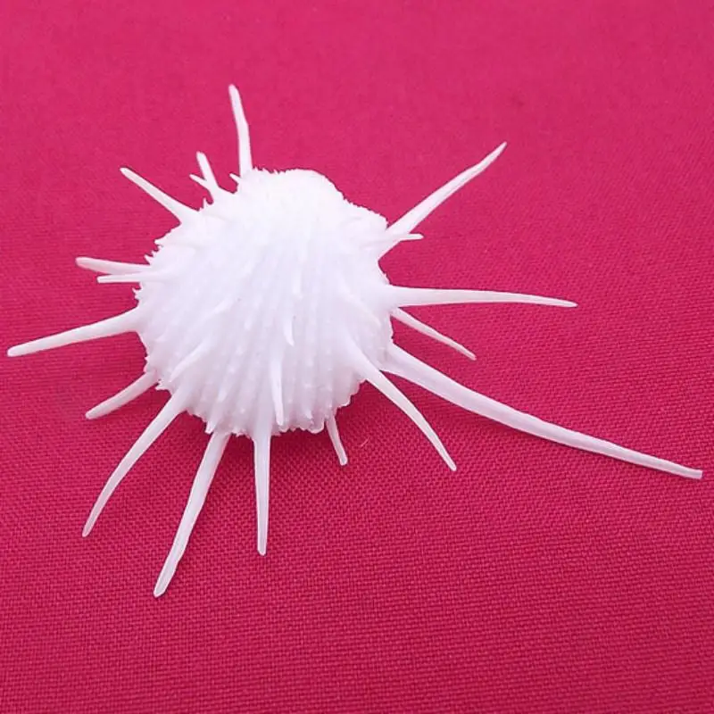 Ракушки морские образцы около 2 см маленькие Редкие ракушки натуральный мини