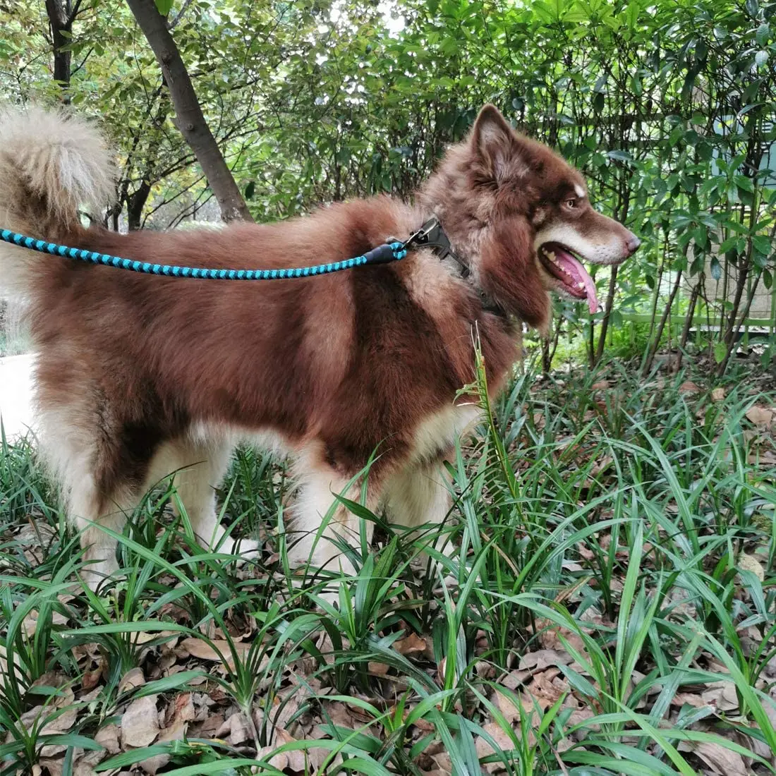 

1 PC Dog Polyester Tow Rope Reflective Strong Durable Rope Leash for Large Medium and Small Dogs Heavy Duty Running Training