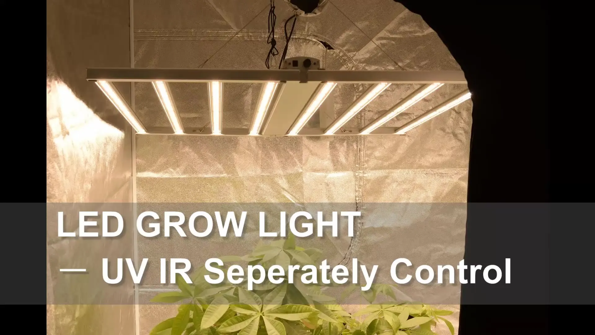 

Bloom Led Plant Grow Light lm301h UV IR Growth Bars 600W DIMM Full Spectrum hydroponics vertical farming lm301h grow light led