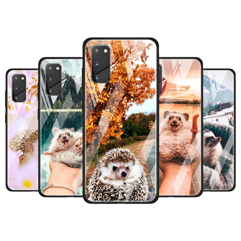 

Cute Hedgehog Outing Tempered Glass Cover For Samsung Galaxy S20 S10 S9 S8 S10E FE Ultra Plus Lite 5G Phone Case