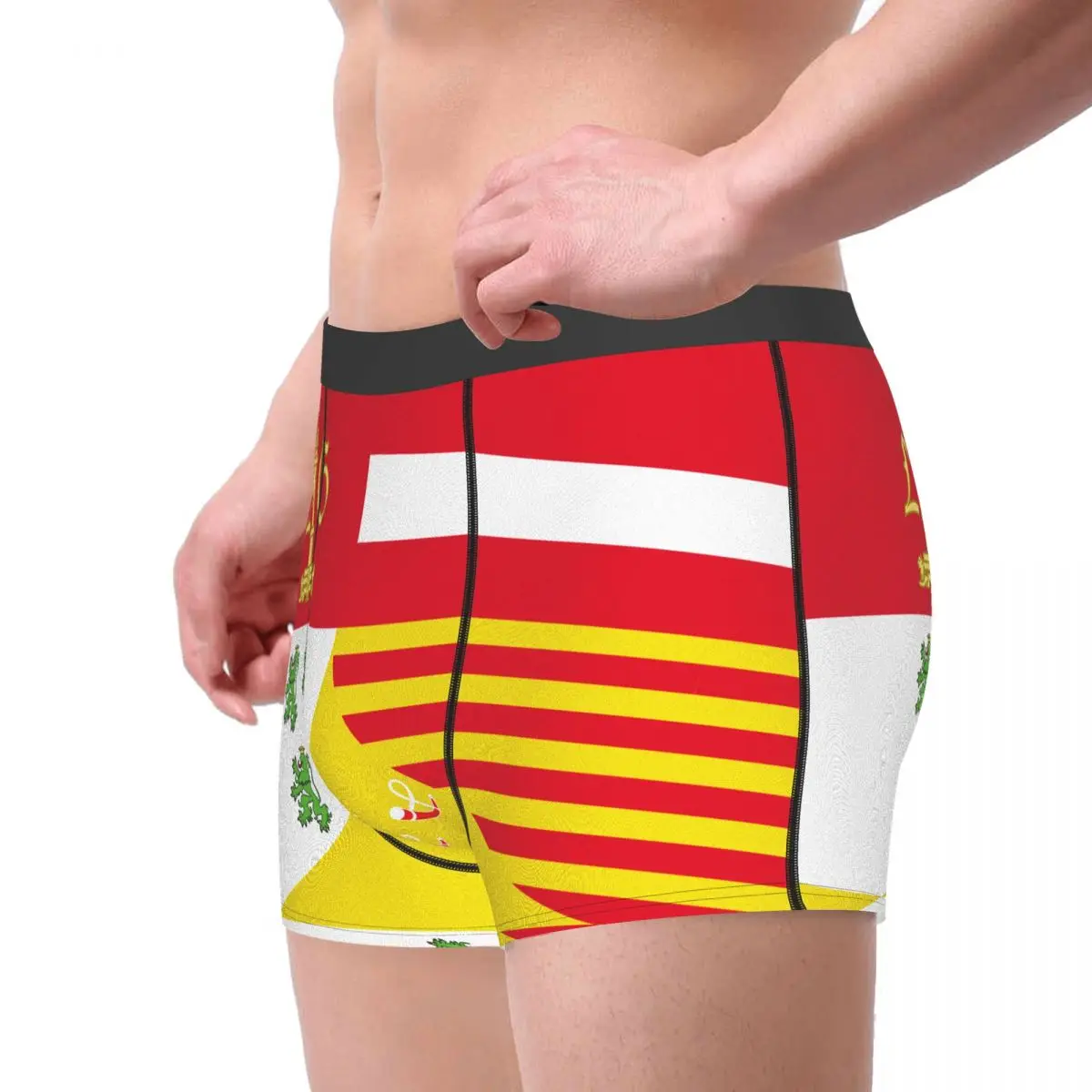 Flag Of The Province Of Liège Men's Boxer Briefs Belgian Funny Sarcastic elastic pants for men