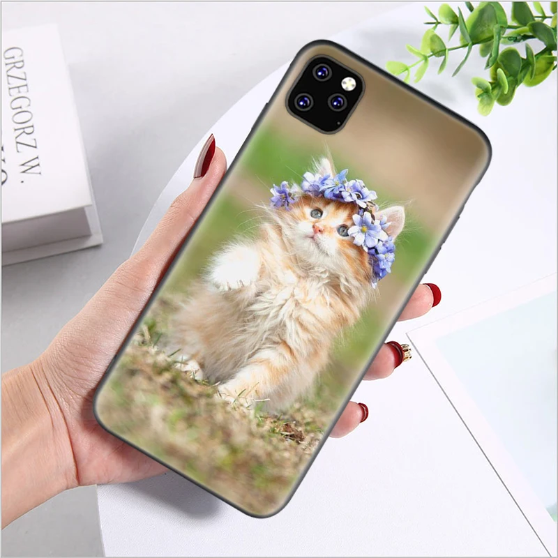 Силиконовый чехол для iPhone 11 Pro X XS XR Max 7 8 6 6S 5 5S SE Plus + задняя крышка телефона с