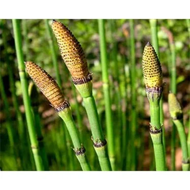 Натуральное мыло ручной работы против акне корицы 100 г + подарочный пищевой