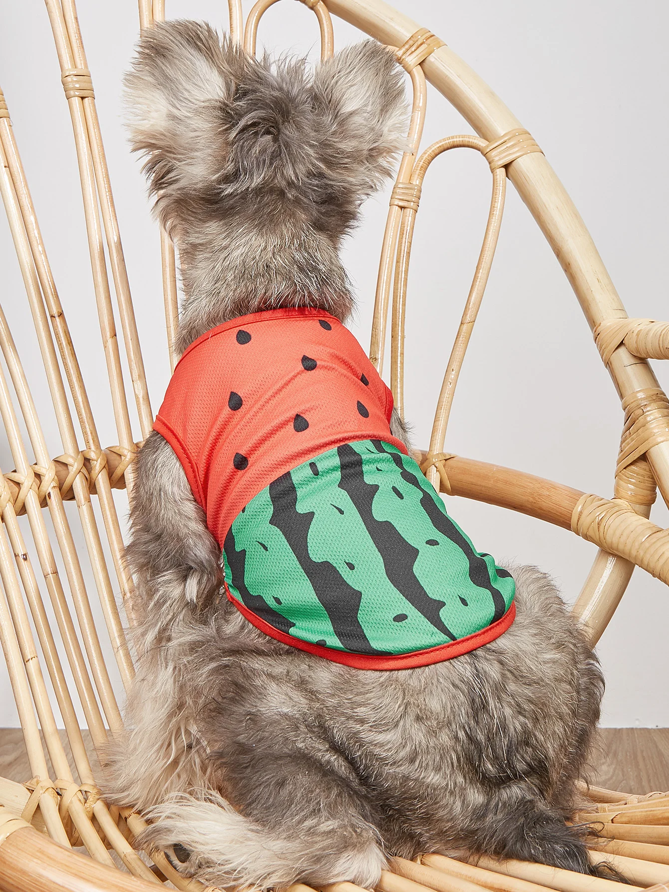 

Summer New Style Mesh Breathable Watermelon Red and Green Pet Vest non-sticky Hair For Cats and Dogs Thin Sleeveless T-shirt