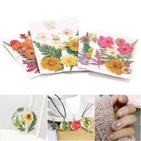 1pcslot natural dry beauty flower decal uv resin dried flowers stickers for diy epoxy resin filling nail art jewelry decoration