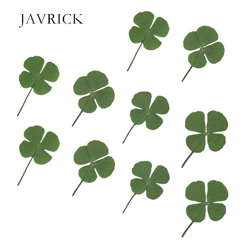 10 шт Сушеные Листья клевера УФ Украшение из эпоксидной смолы дизайн ногтей