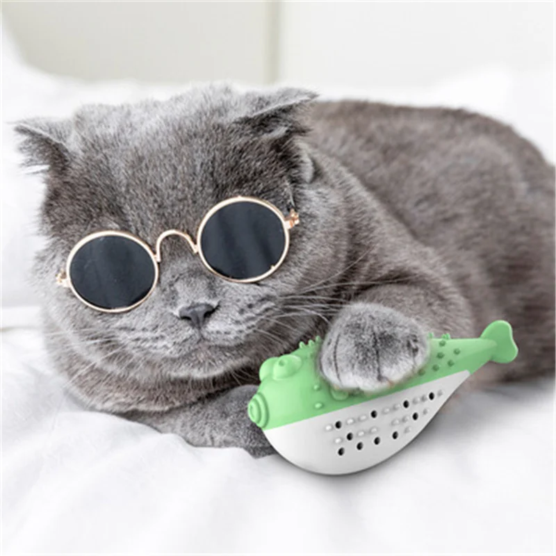 

Cat Toy Mint Simulation Fish Interactive Toothbrush Resistant Chew Clean Teeth Molars Cat Supplies Accessories