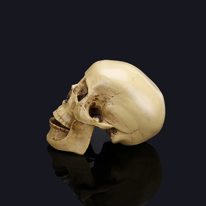 1 Piece Figurines Resin Small Head Skull Halloween Gift Personality Home Decoration Furniture Ornaments Craft Design 8.5x11cm | Дом и сад