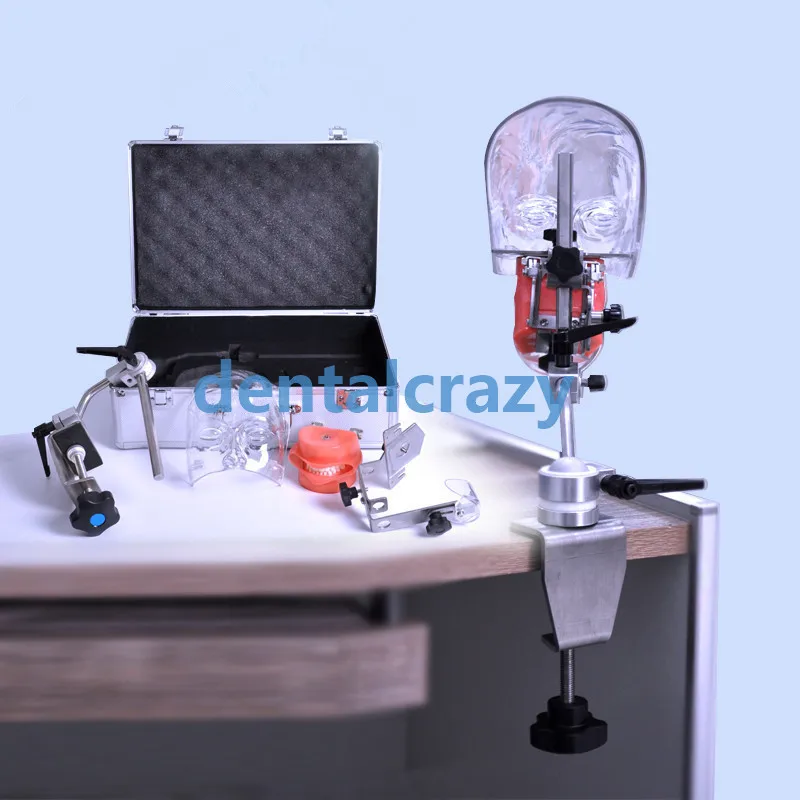 Стоматологическая лампа с типограммой/Стоматологическая заменяемыми зубами