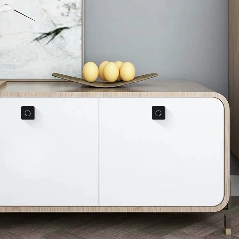 

Fingerprint Lock Cabinet Lock Drawer Lock Fingerprint Padlock with USB Reset for Gym School Drawer