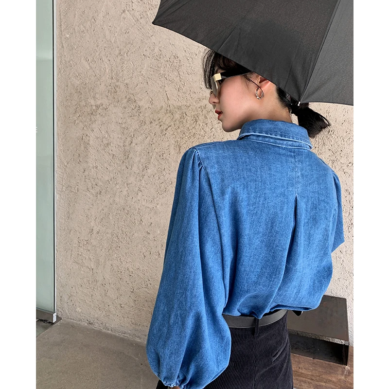 

COIGARSAM Vintage Full Sleeve Shirt Womens tops Women shirts Cowboy Blue 2548