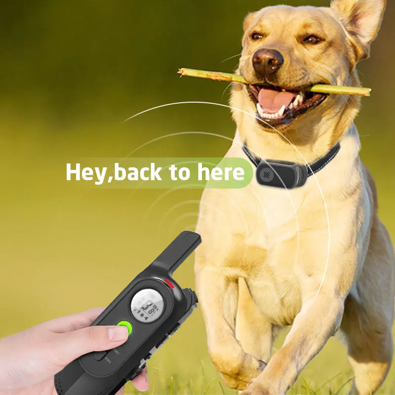 

800M Pet Dog Training Electric Collar Shock Training Rechargeable Collar with LCD Display Recording and Touch Design for Pitbull