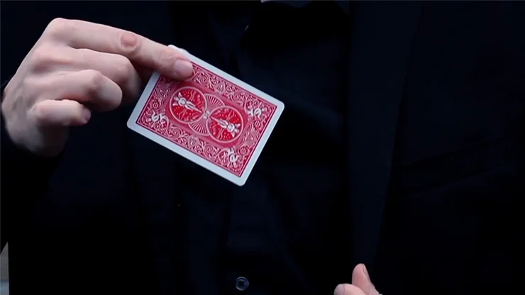 Брошенные (Gimmicks и онлайн инструкции) от Dennis Reinsma Peter Eggin Card волшебные фокусы prosp